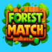 forest-match-earn-rewards.png
